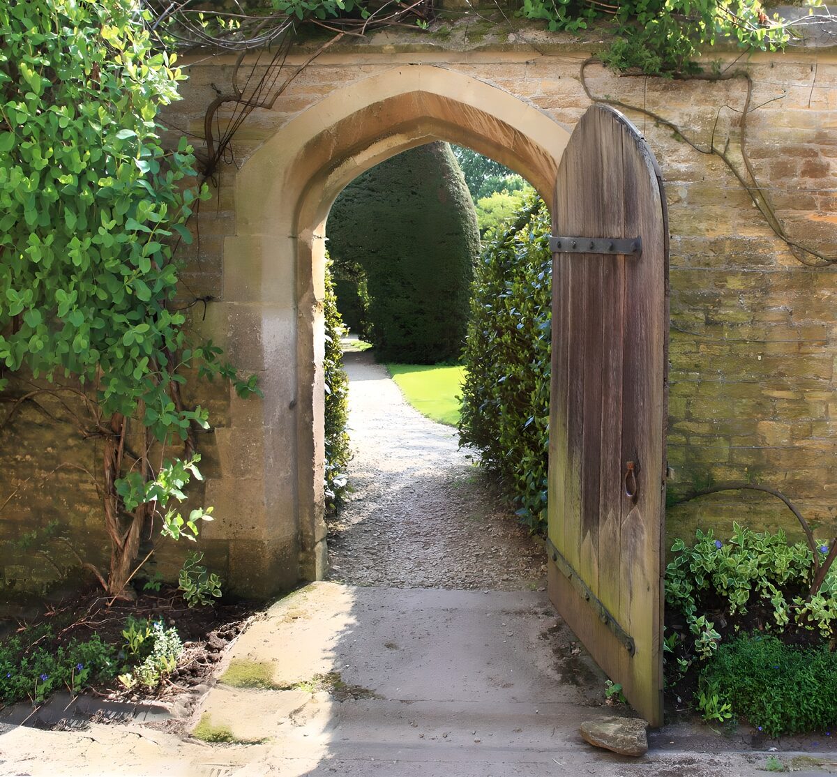 Open wooden gate to a sunlit garden