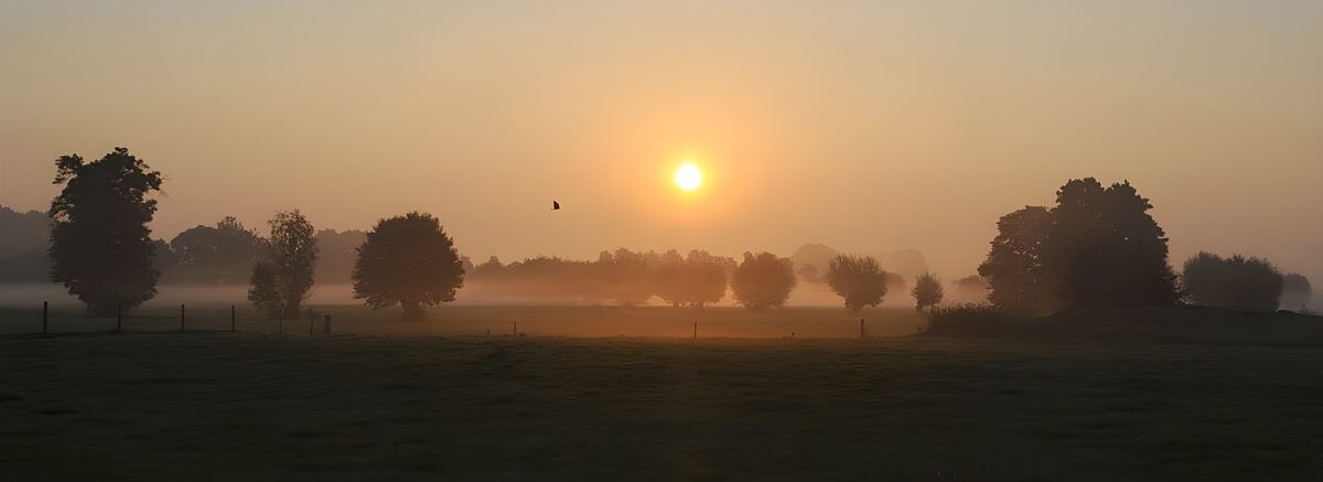 Sunrise over a misty field