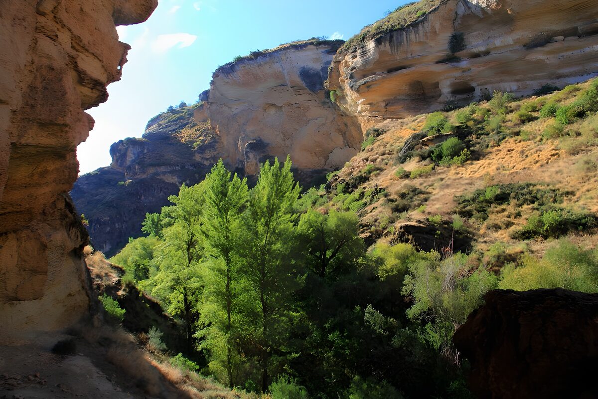 Sunlit cliffs above a leafy gorge