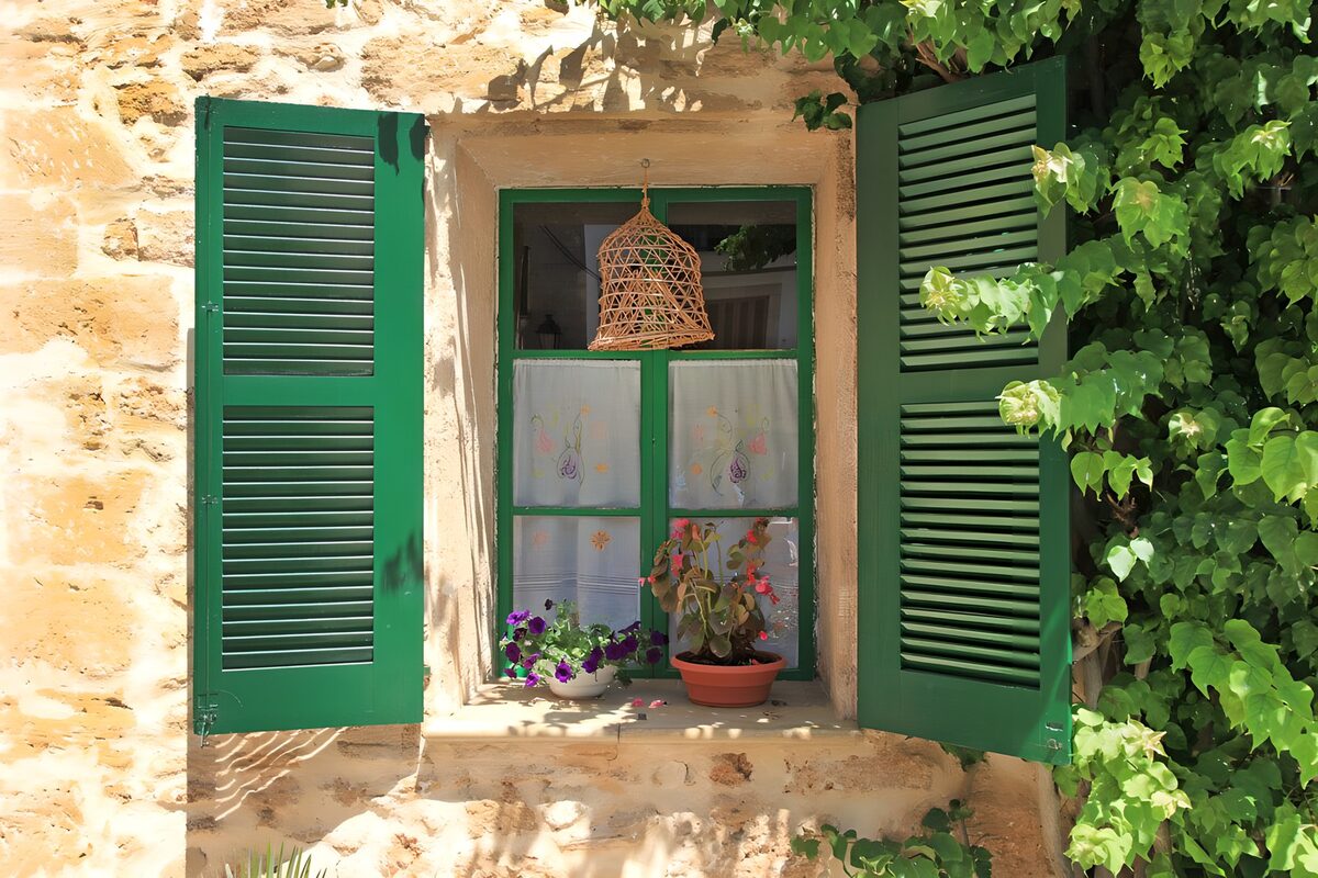 Green shutters and flowers in the sunshine