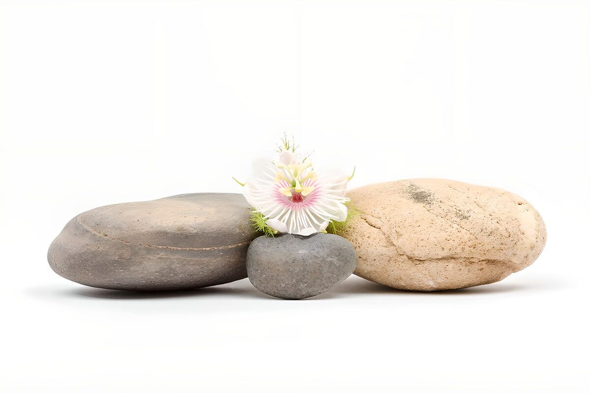White passionflower and stones at rest
