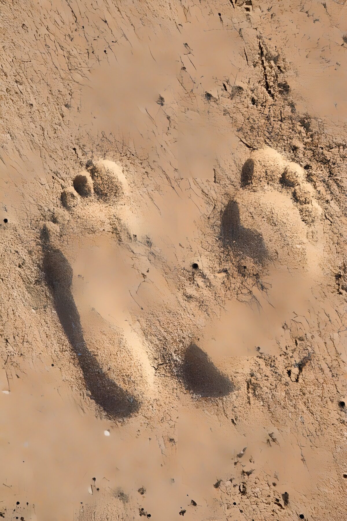 Two footprints in warm sand