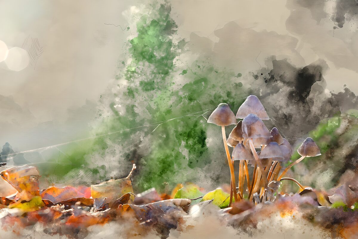 Purple mushrooms among autumn leaves