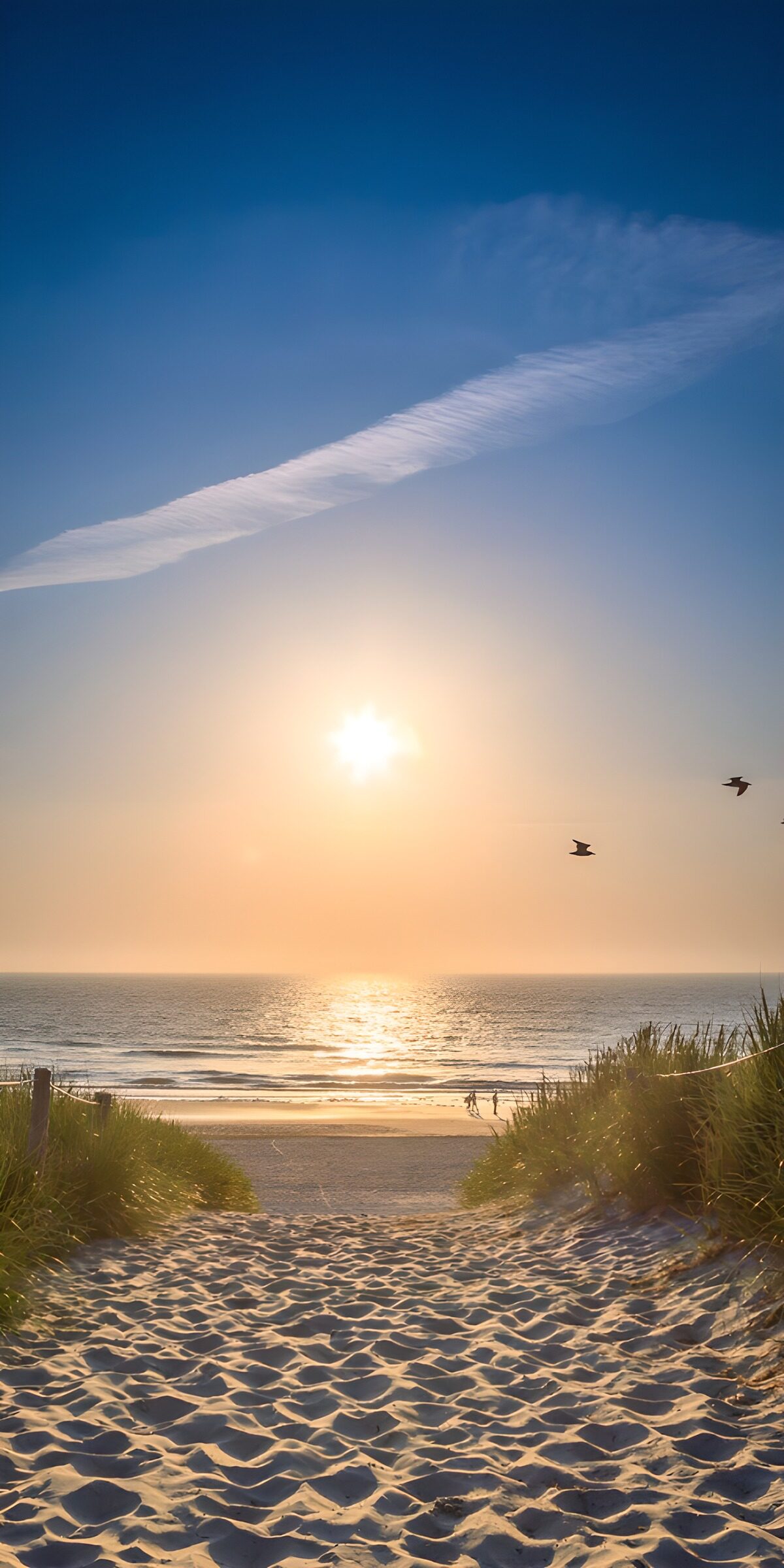 Sandy path to the sea at sunset