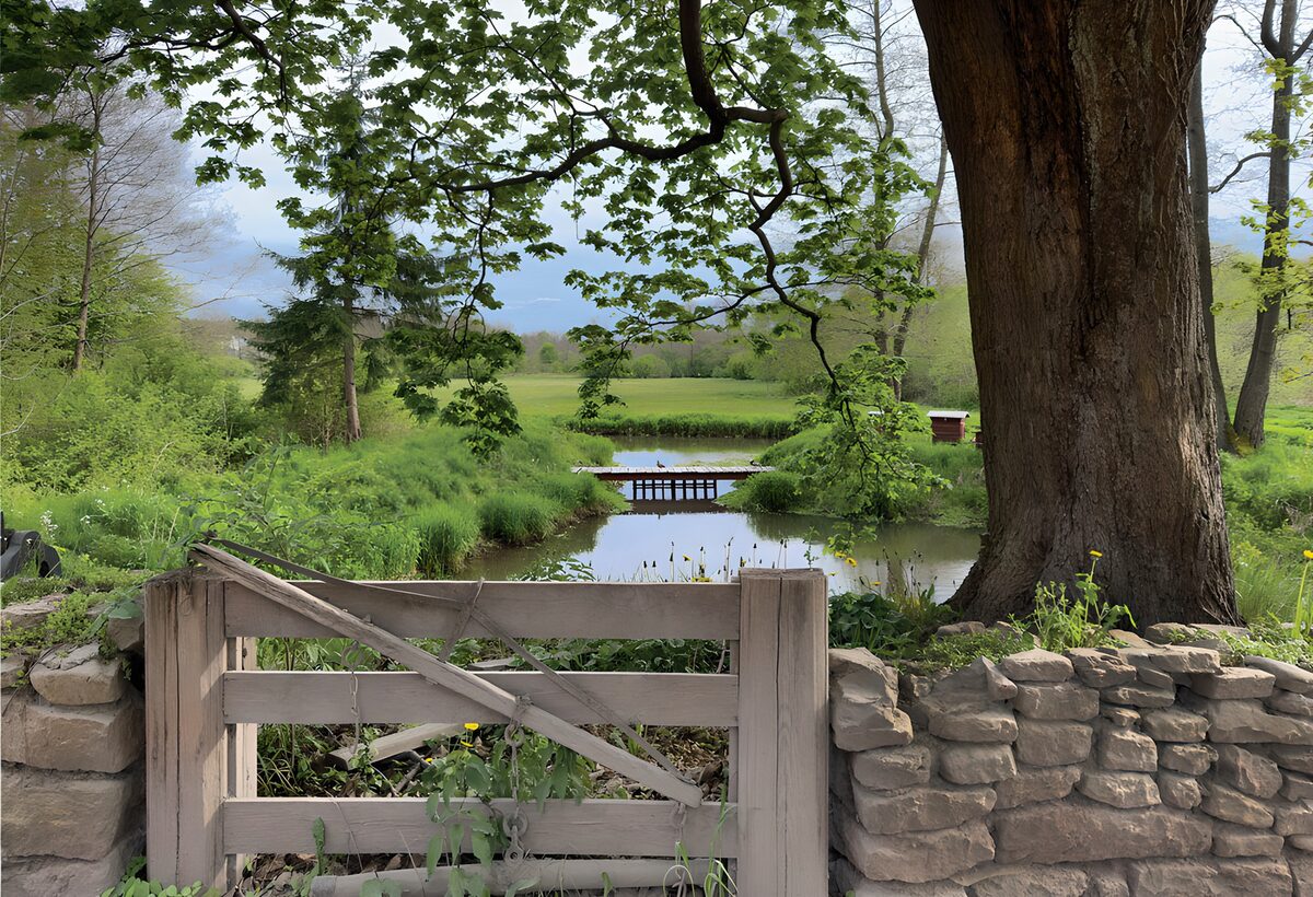 Wooden gate and footbridge by a quiet pond