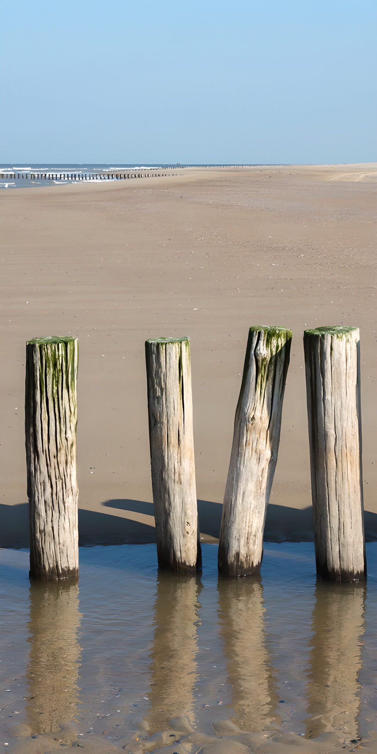 Four weathered posts on a sunlit beach