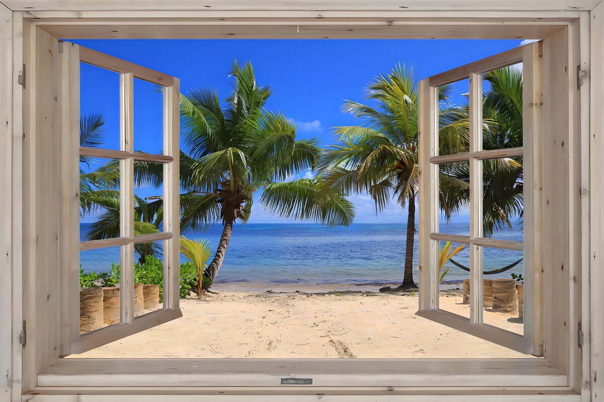 A window to where palms meet the sea