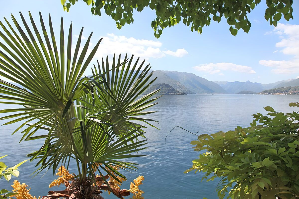 Sunlit lake, distant mountains and palms