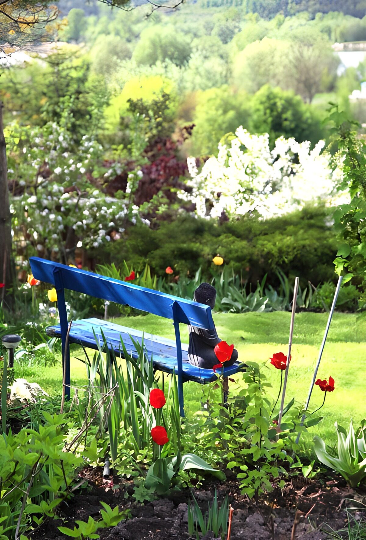 Blue bench and tulips in spring sunshine