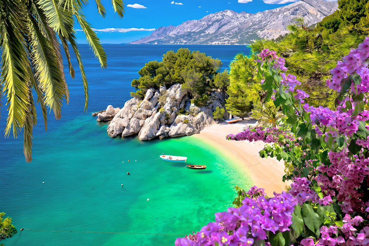 Turquoise bay with palms and pink flowers