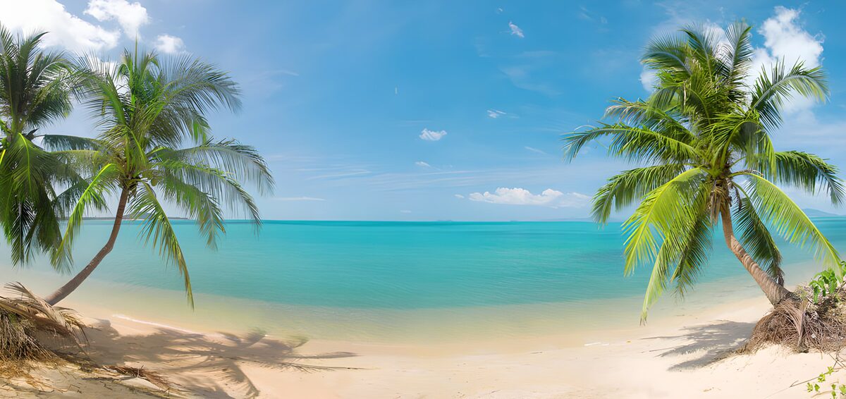Where the palms lean into the blue