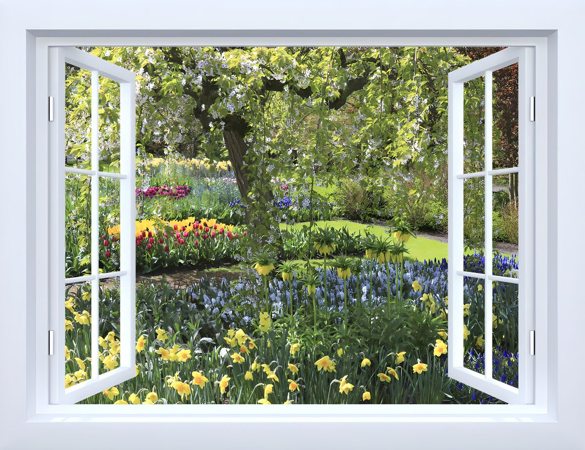 Open window onto a sunlit spring garden