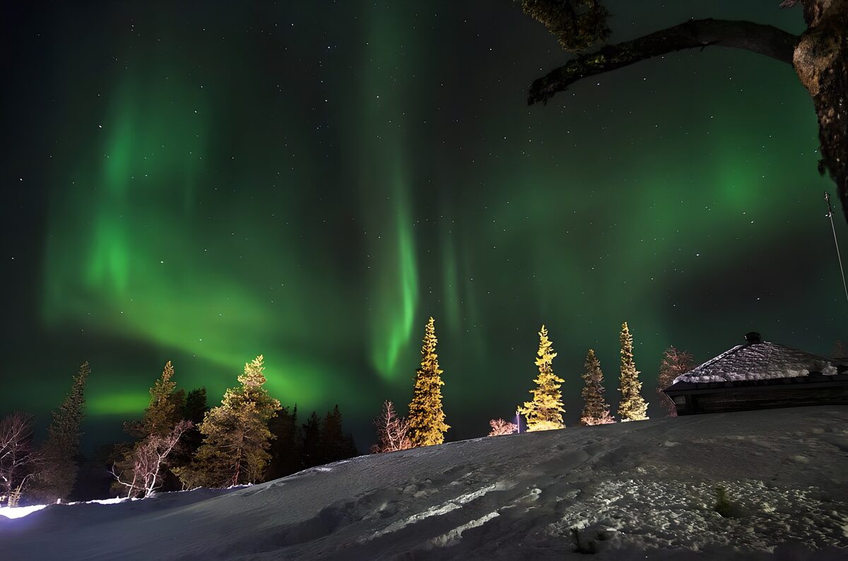 Northern lights over snow and trees