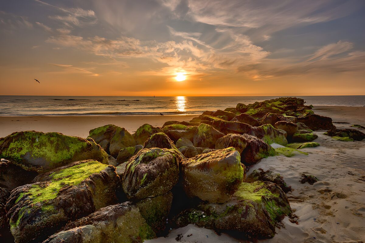 Sunset over a seaweed-covered breakwater