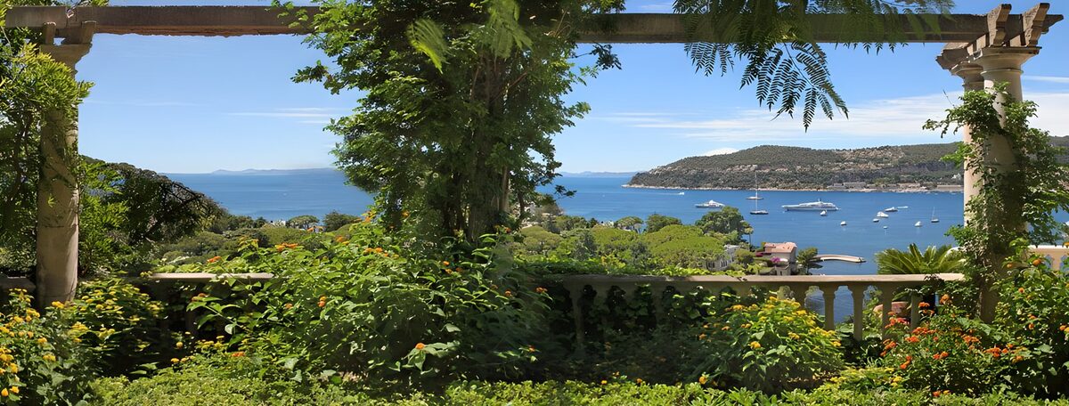 Sunlit bay beyond a leafy coastal garden