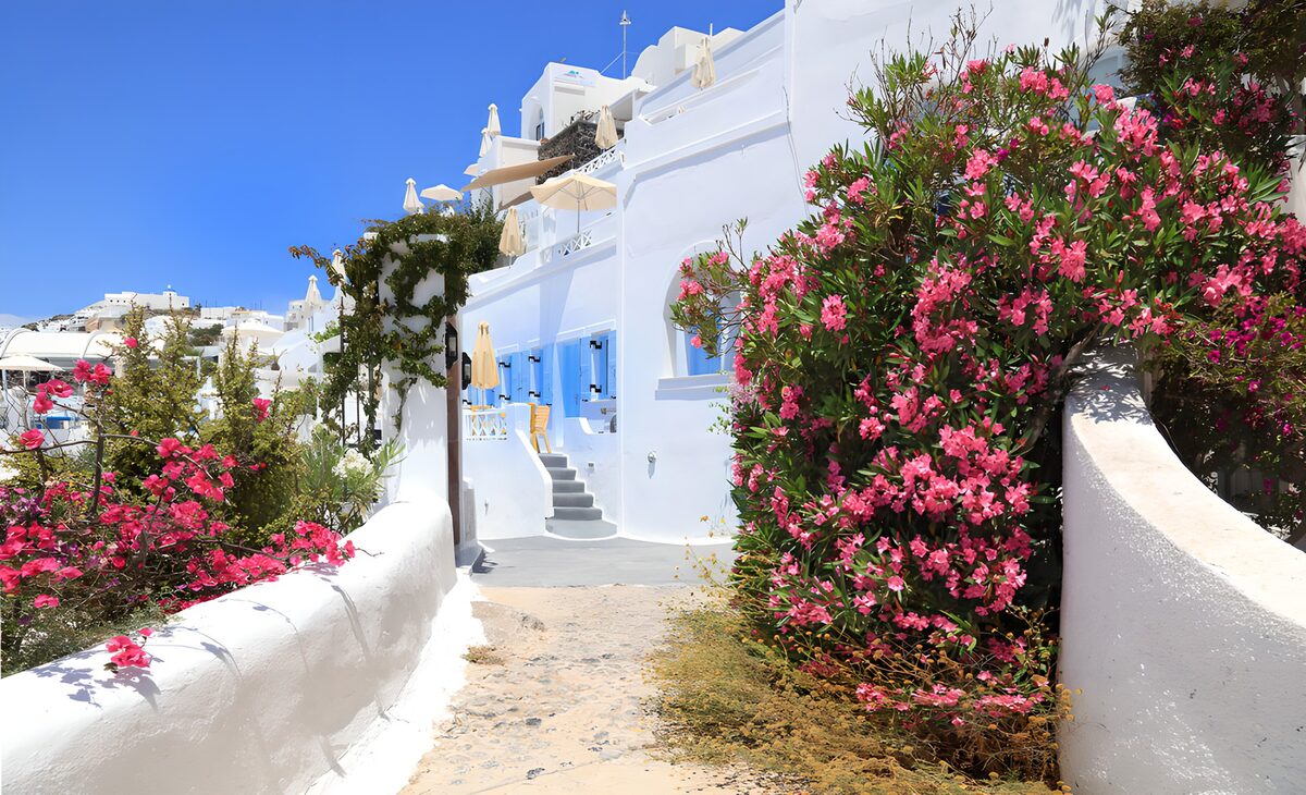 Sunlit lane with blue shutters