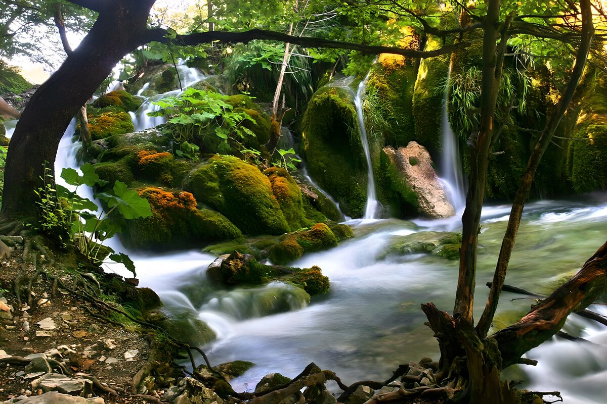 Woodland cascades in dappled light