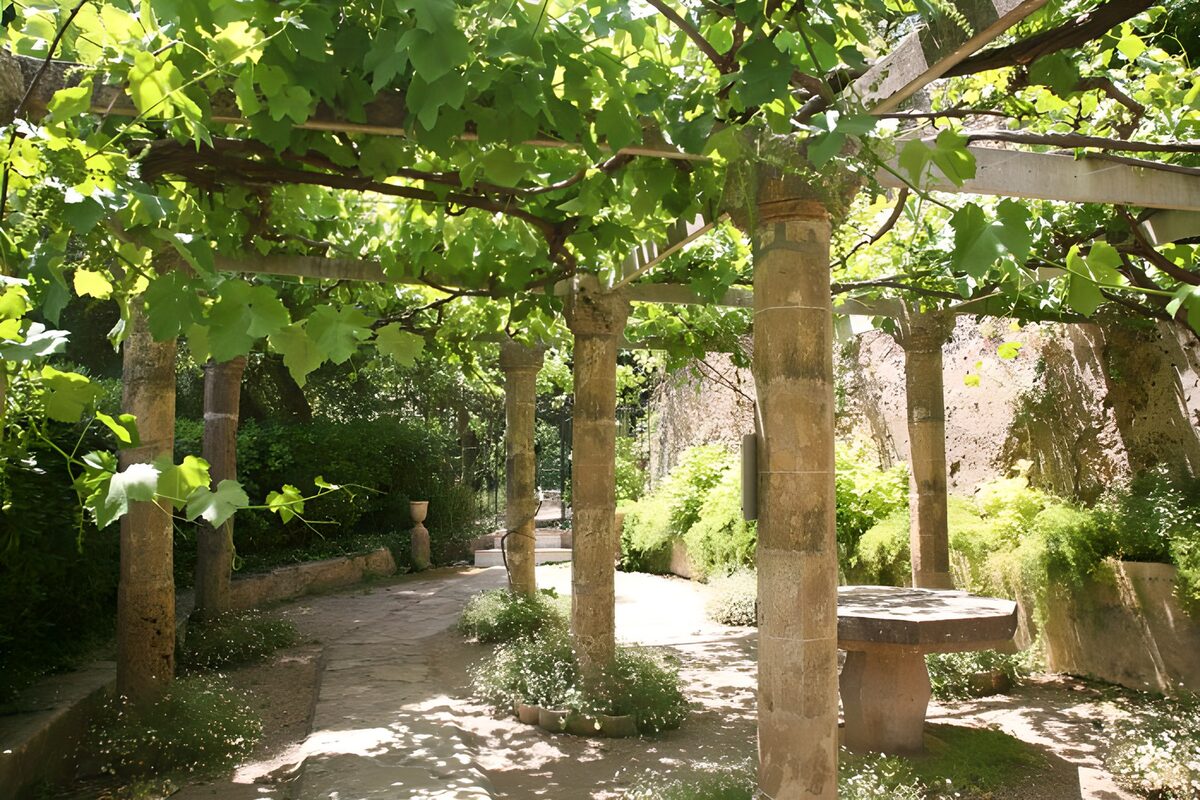 Leafy pergola with weathered stone columns