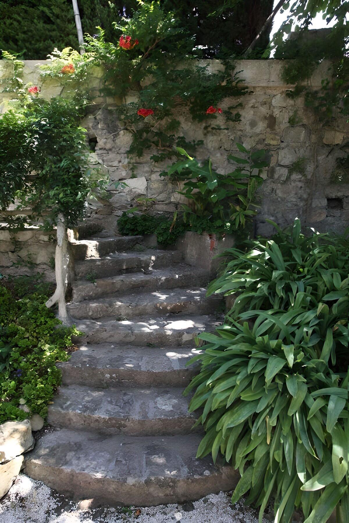 Worn stone steps in a shaded garden