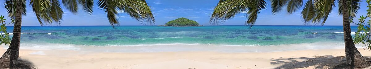 A little island between the palms