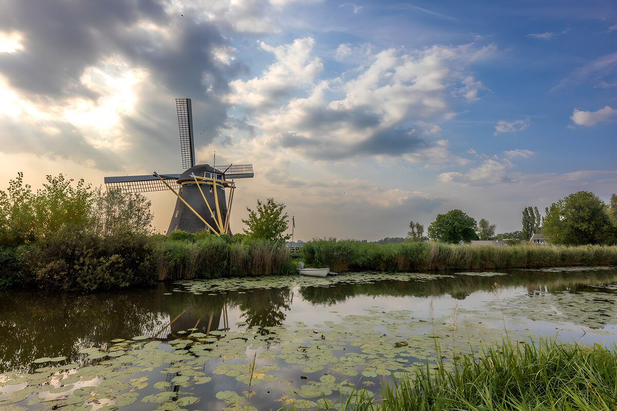 Windmill beside a lily-covered waterway
