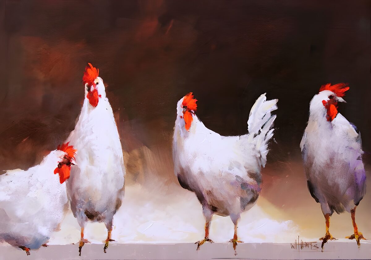 Four white chickens in fine company