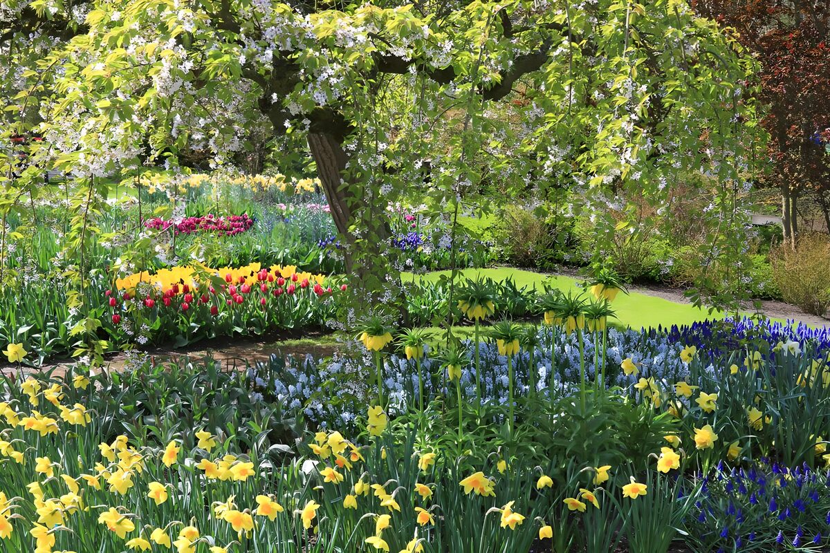 Daffodils and tulips in spring sunshine