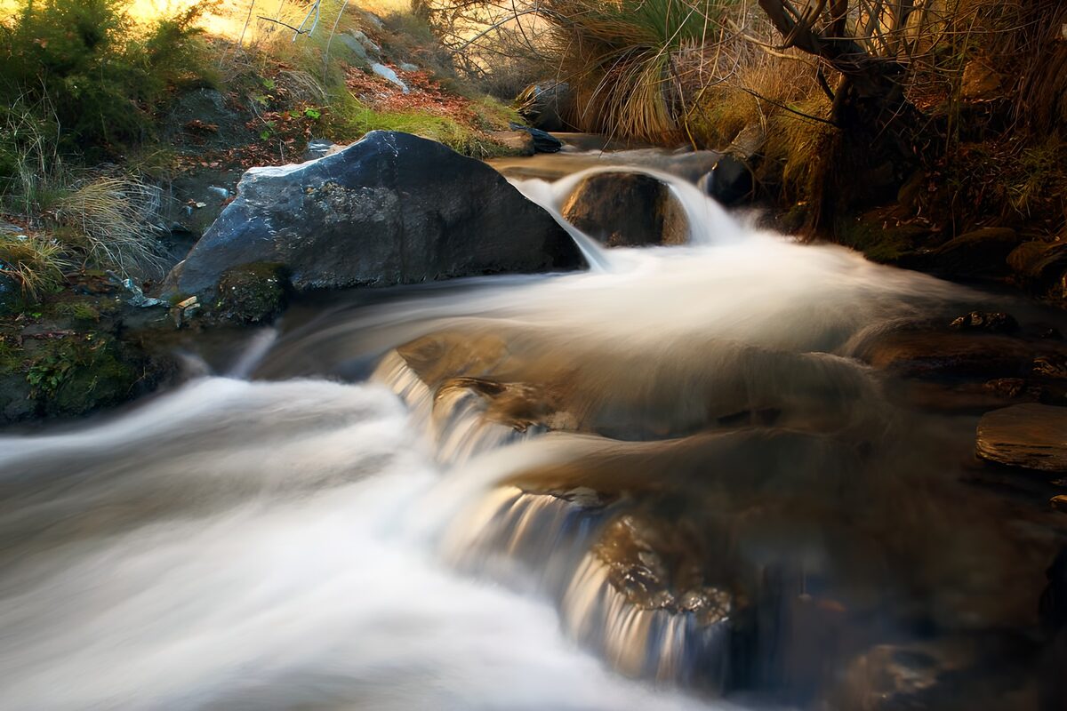 Rocky woodland stream in golden light