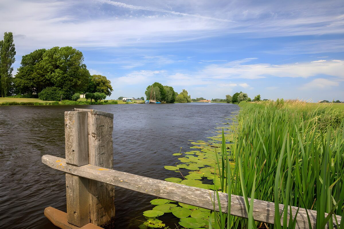 Summer waterway with reeds and wooden rails