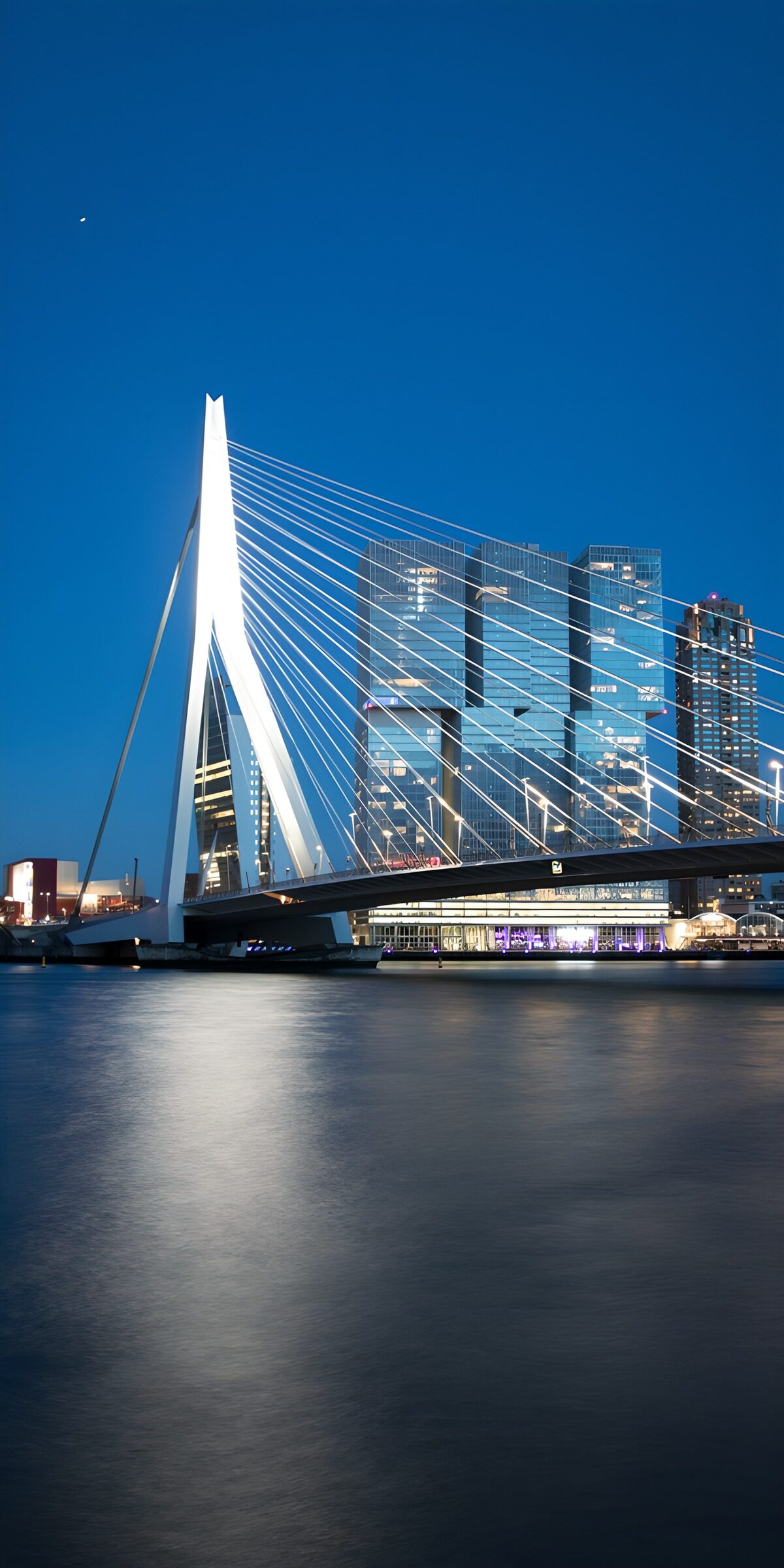 Erasmus Bridge, strung with evening light