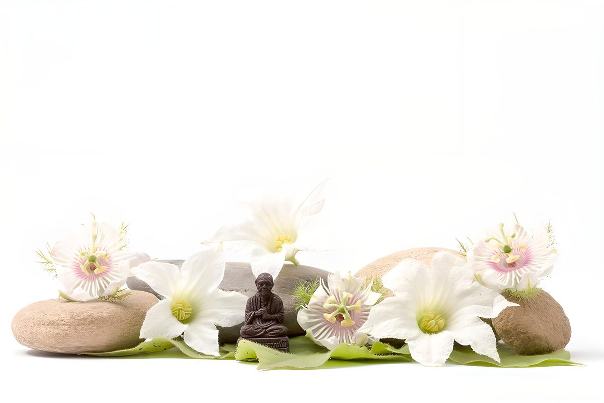 Buddha, white flowers and quiet stones