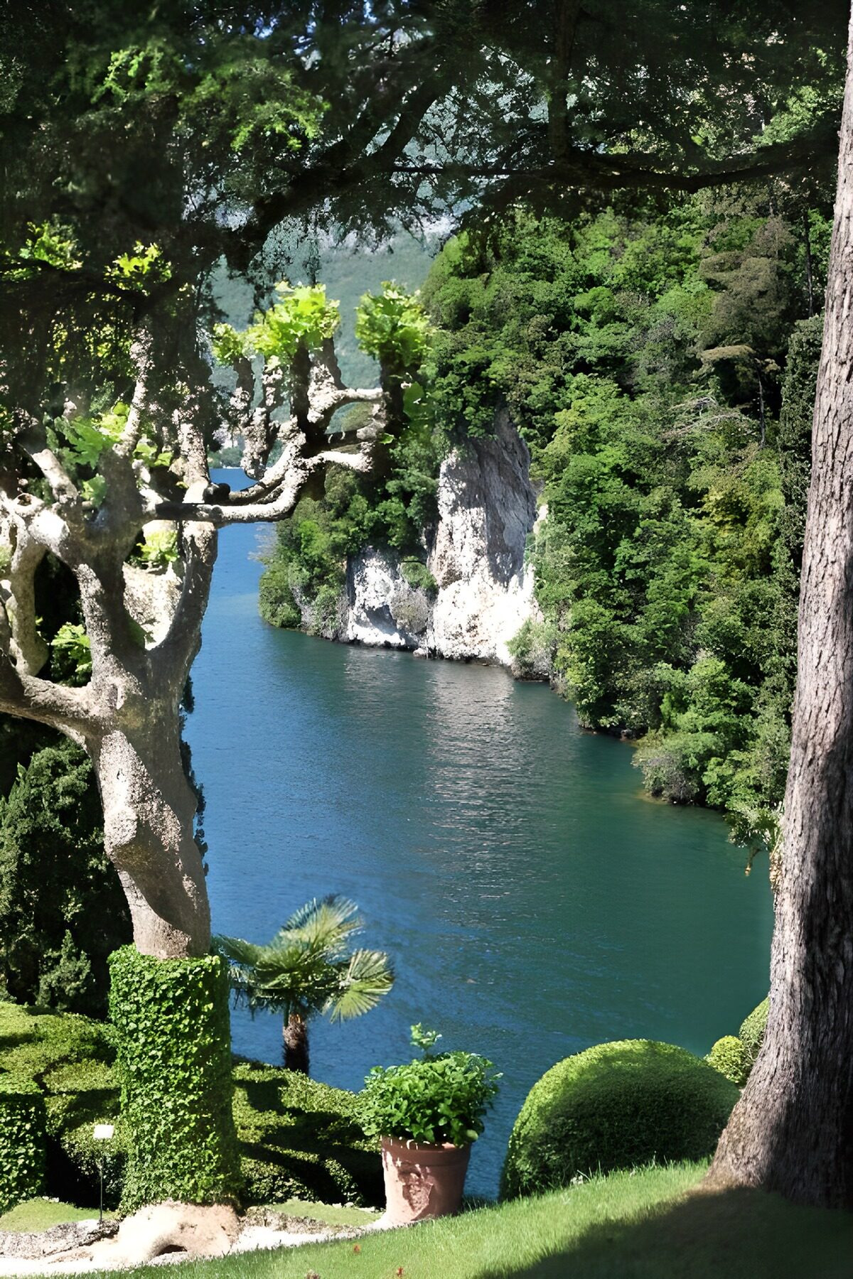 Garden overlooking blue-green water