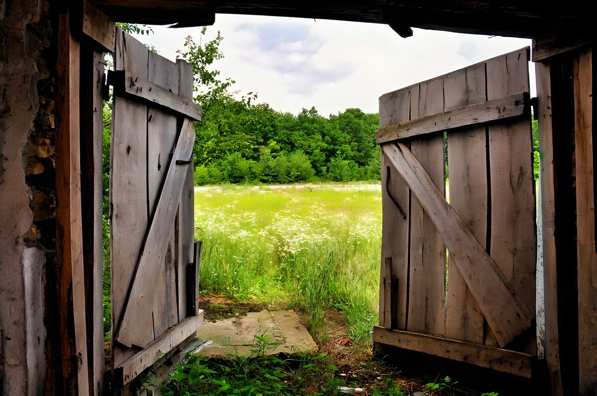 Open barn doors onto a quiet meadow