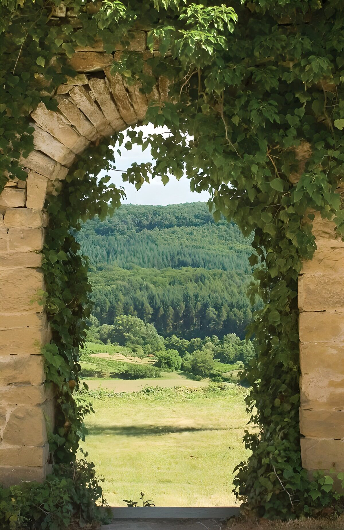 Sunlit meadow through a leafy stone arch
