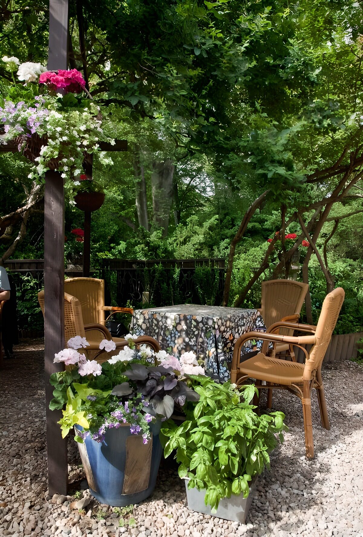 Woven chairs in a leafy garden retreat