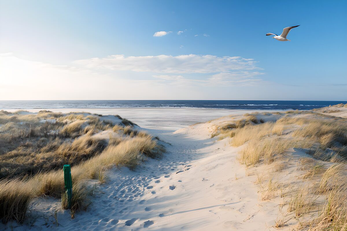 Sandy path to a sunlit sea