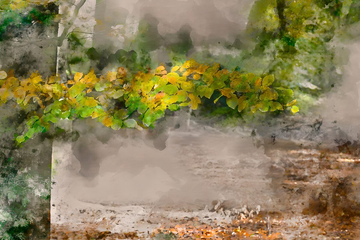 Green and gold leaves in a woodland haze