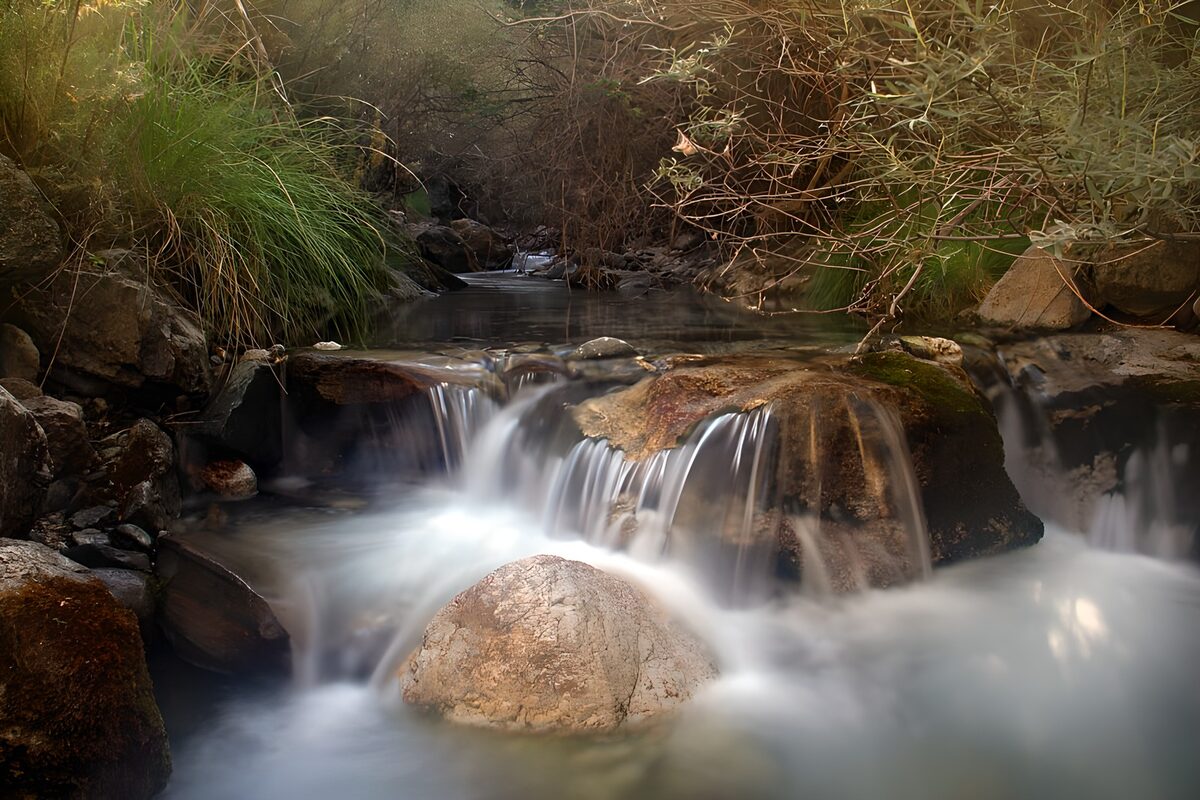 Rocky stream in a quiet green corner