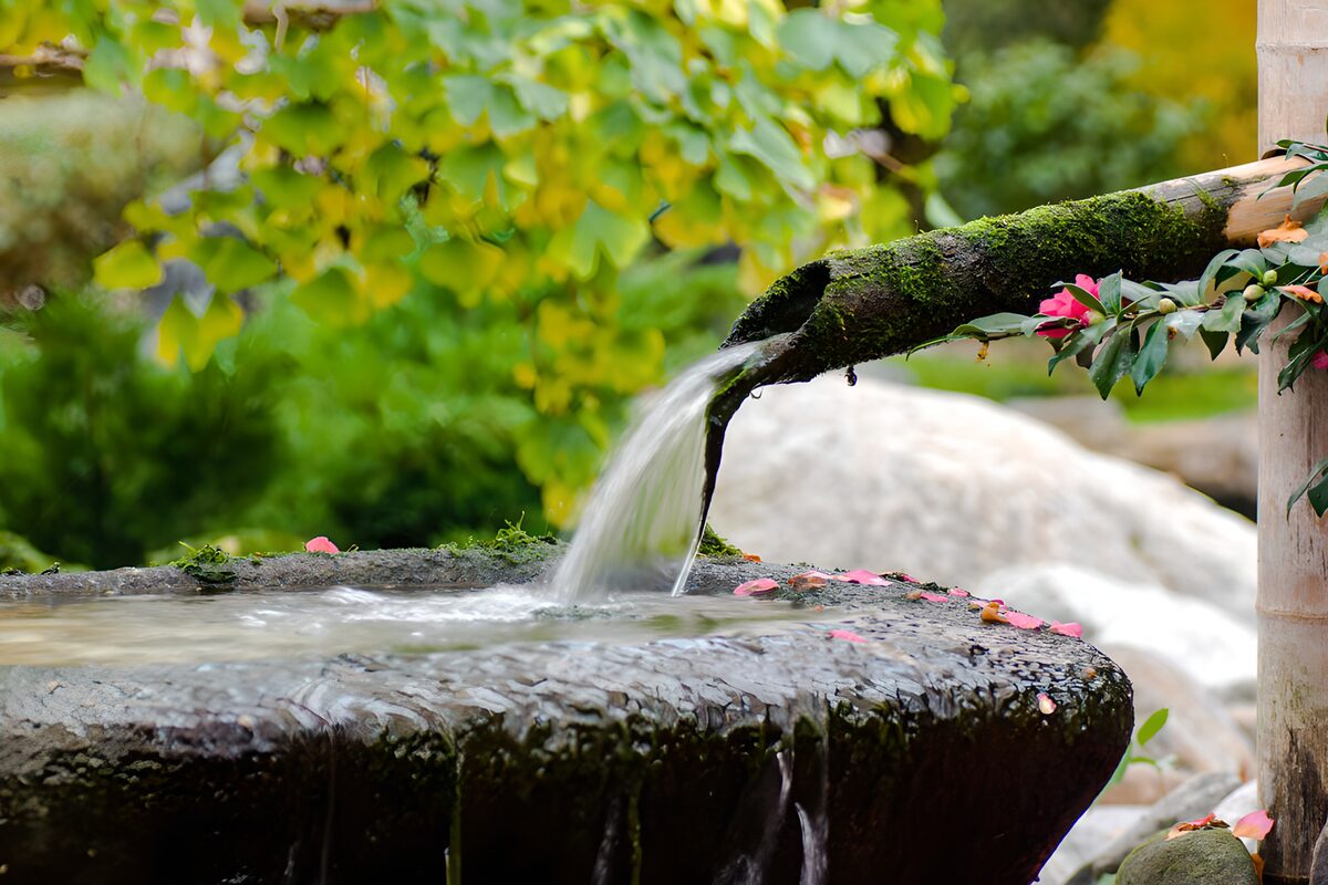 Mossy stone fountain with pink petals