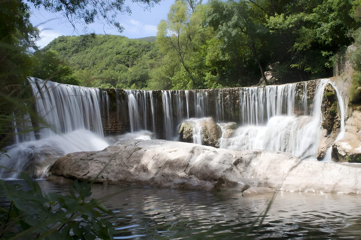 Wide woodland waterfall in summer light