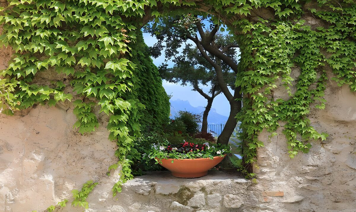 Leafy stone window with a mountain view