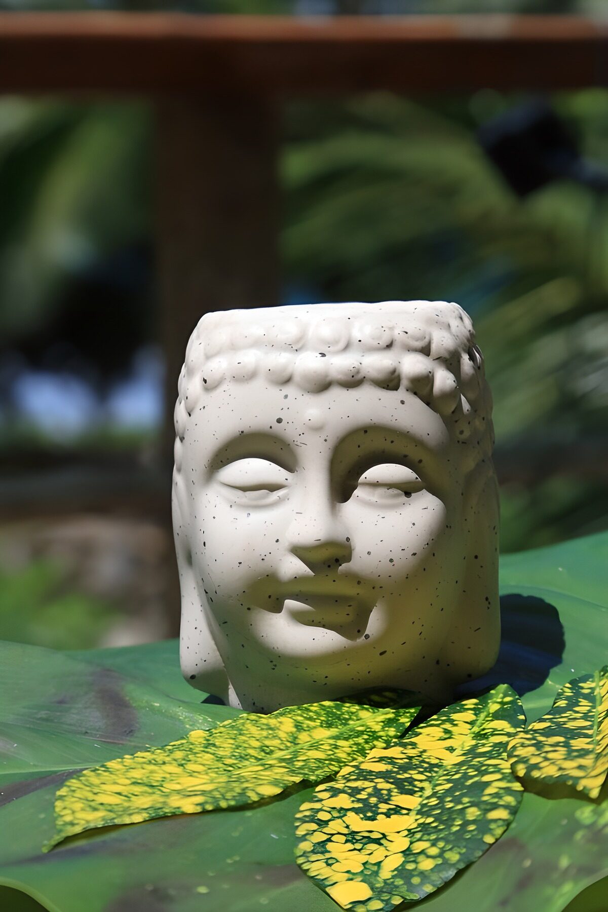 White Buddha head on a sunlit green leaf