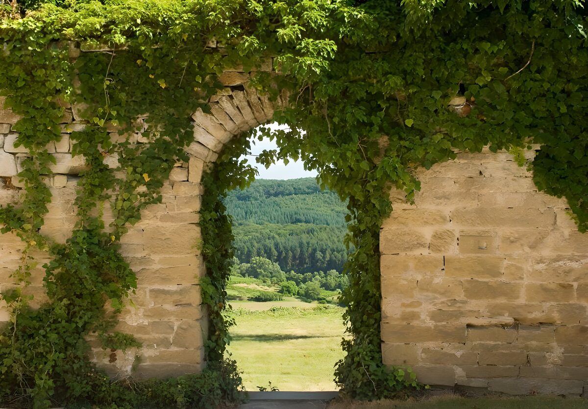 Ivy-covered arch with a sunlit meadow
