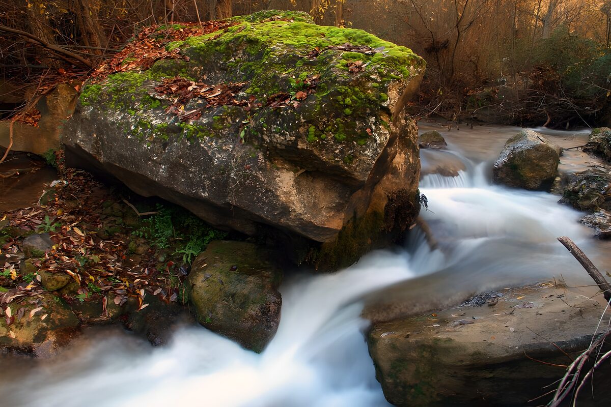 Mossy boulder in an autumn stream