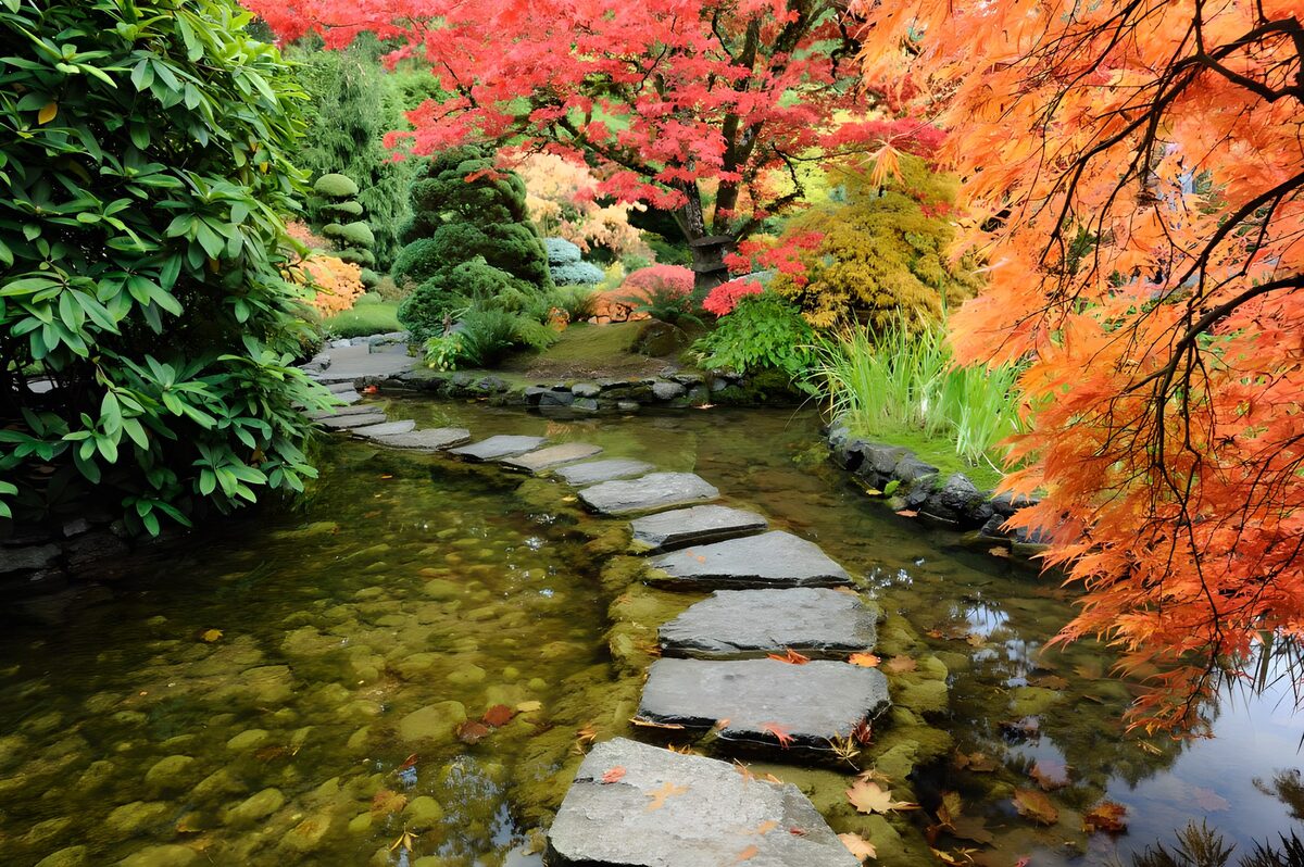 Autumn stepping stones in quiet water