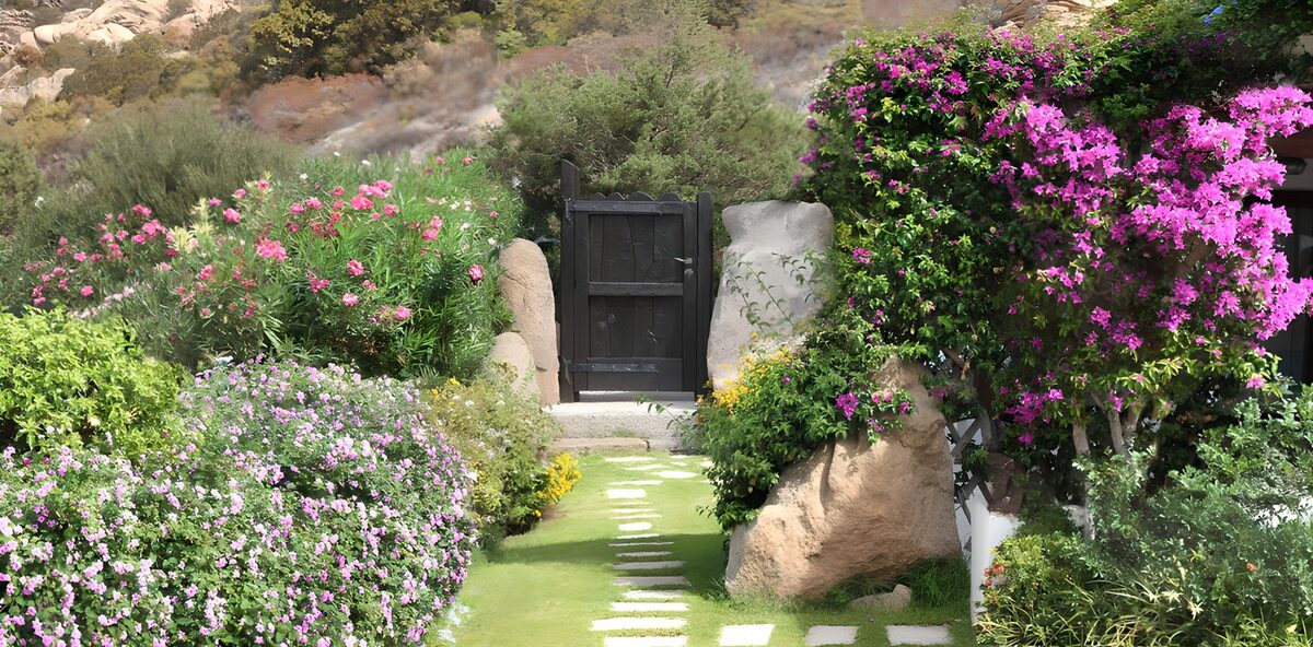 Flower-lined path to a sheltered gate