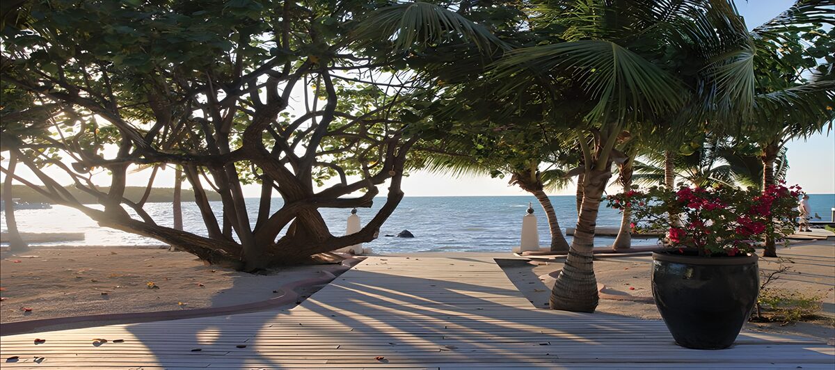 Palm-shaded walkway to a sunlit sea