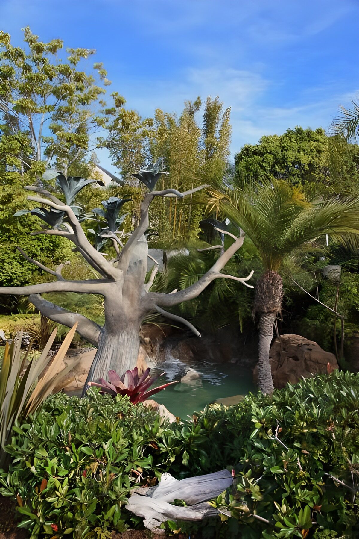 Pale tree, palm and shaded garden pond