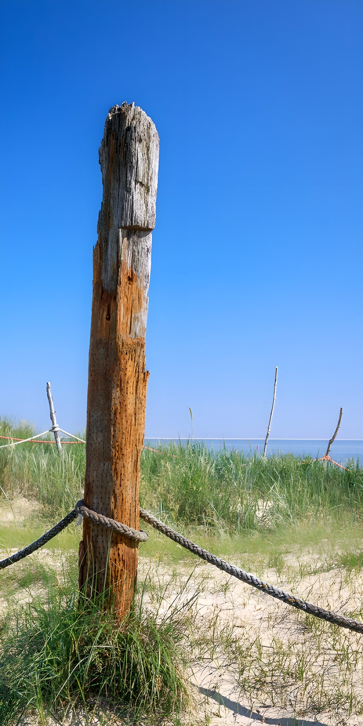 Weathered post in sunlit dunes