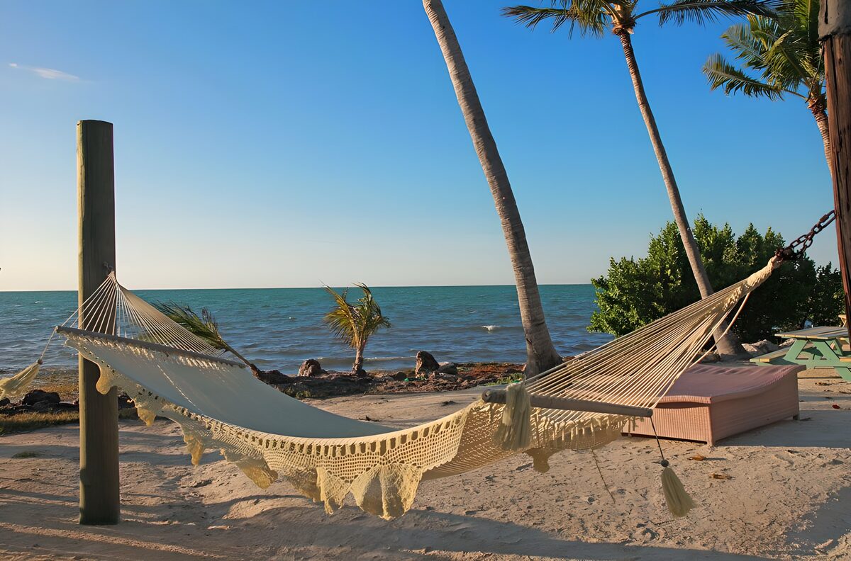 Beach hammock in the afternoon sun